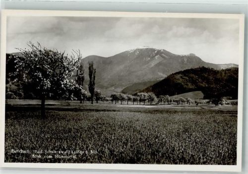 Münstertal Obstbäume vor dem Belchen