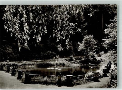 Hornberg Schlossweiher