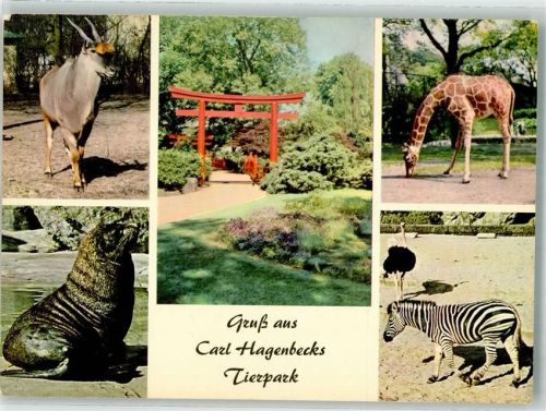 Stellingen Giraffe Zebra Seehund