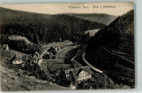 Wildemann