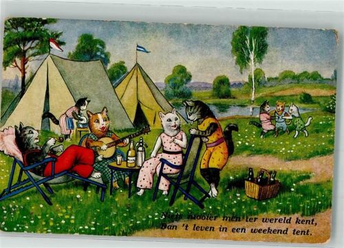 Katzen Mandoline Pfeife Flaschenöffner Zigarette Camping Spruch WB SS NR.4437
