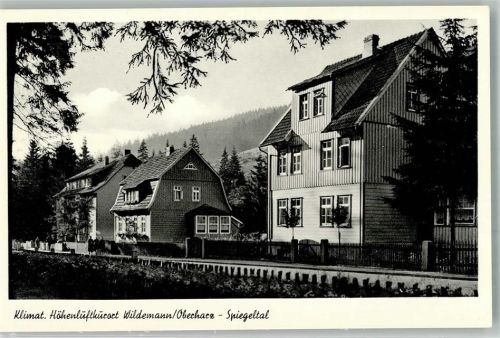 38709 W3391 Wildemann Foto AK