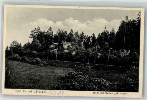 Bad Grund Blick auf Gasthaus Kaffee Hocheck