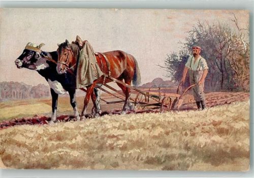 1916 WK I Soldat beim Bereiten des Ackers im Feindesland Landwirtschaft