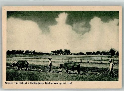 Manila Foto AK Beruf Bauern Mission van Scheut