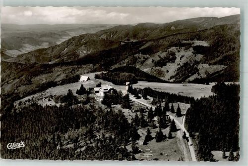 Brend Fliegeraufnahme von Aussichtsturm und Gasthaus