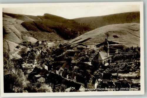 Wildemann 1929