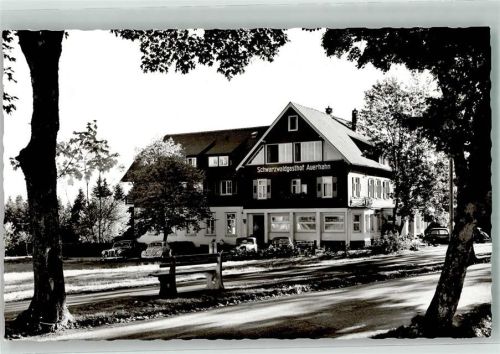 Zwieselberg Gasthaus Auerhahn VW Käfer Mercedes