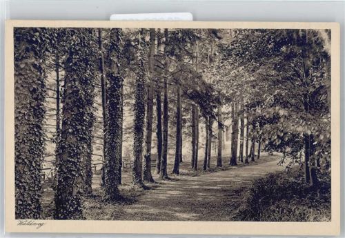 94486 W8353 Osterhofen , Niederbay - Lehr- und Erziehungs-Institut der Englischen Fräulein, Damenstift, Waldweg