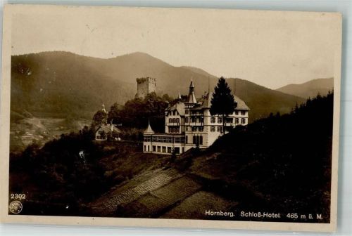 Hornberg 1910 mit Burg und Schlosshotel