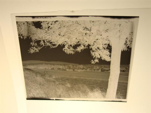Holzhausen Negativ