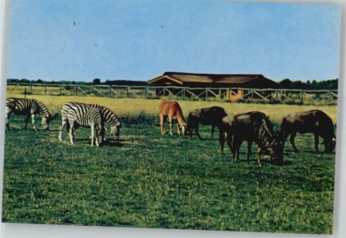 Wildtiere im Serengeti Grosswild Reservat Hodenhagen