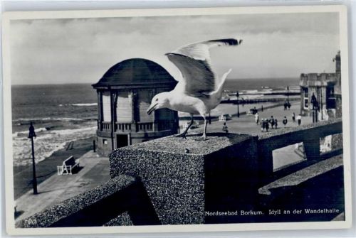 Borkum Wandelhalle, Möwe