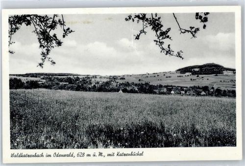 69429 W6935 Waldkatzenbach - Blick zum Katzenbuckel