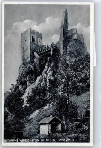 Regen Ruine Weissenstein