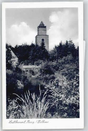 Burg Aussichtsturm auf dem Wulfsboom
