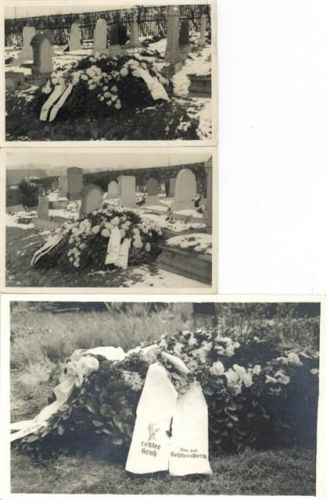 Partie von 5 Fotos