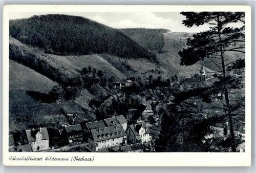 Wildemann