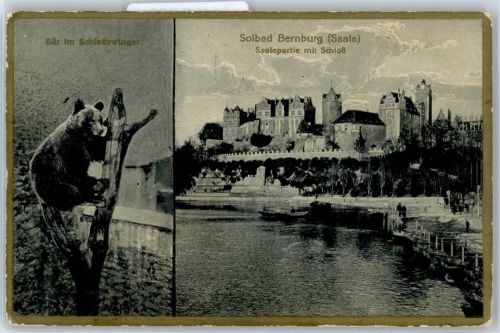 Bernburg Bär im Schlosszwinger, Schloss