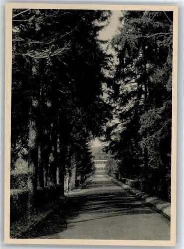 Veitshöchheim Fichtenallee