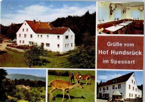 Eschau Gasthaus Pension Hof Hundsrück