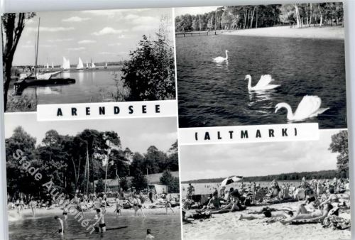 Arendsee See, Schwäne, Badeanstalt, Strand