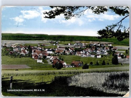 Tannheim