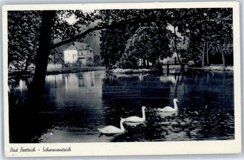 Bad Bertrich Schwanenteich