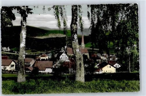Teisnach Blick mit Arber AKU1