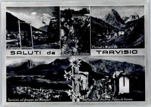 Tarvisio 1960 Edelweiß