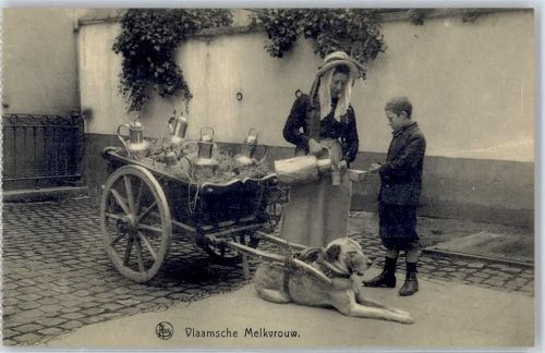 Hundekarren