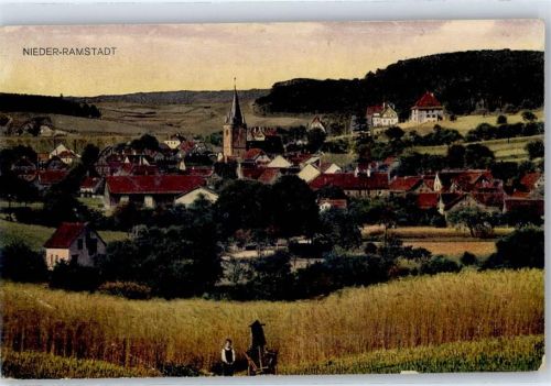 64367 W6109 Nieder-Ramstadt - Kornfelder