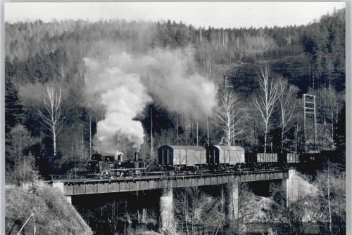 Jöhstadt Schmalspurbahn Januar 1974 Zschopaubrücke Wolkenstein