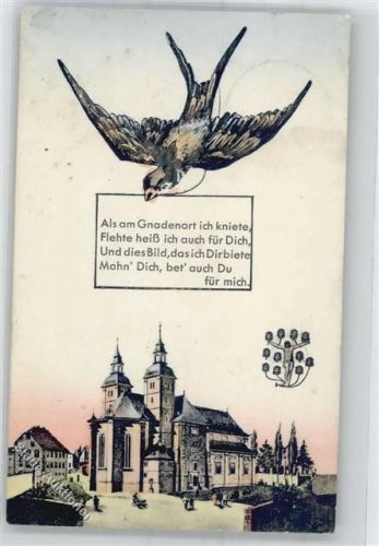 Walldürn Kirche Schwalbe