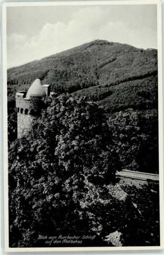 Auerbach Schloss Melibokus