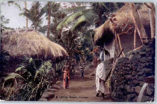 Colombo A Village Scene Ceylon