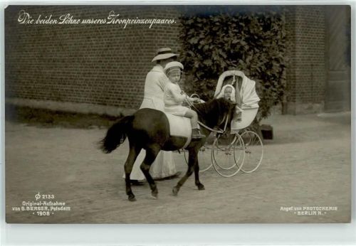 Söhne des Kronprinzen Wilhelm Pony Kinderwagen