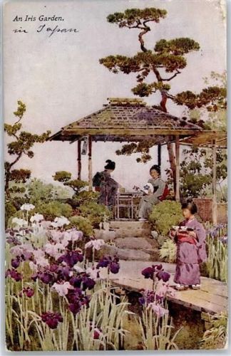 Tokyo 1922 Iris Garden