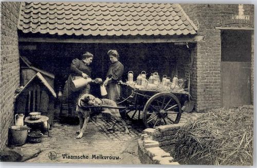 Belgien Frau