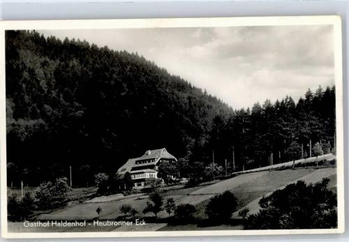 79677 W7869 Schönau im Schwarzwald Foto AK Gasthaus Pension Haldenhof
