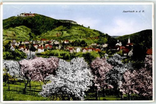 Auerbach Schloss