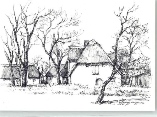 Nebel Friesenhaus