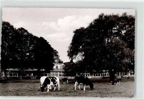 Krautsand Hotel Buhrfeind