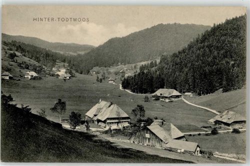 79682 W7865 Hintertodtmoos
