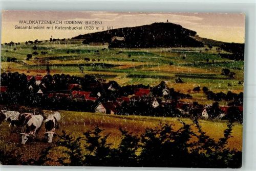 Waldkatzenbach Blick auf die Stadt Kühe Katzenbuckel
