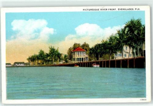 Fort Lauderdale Everglades