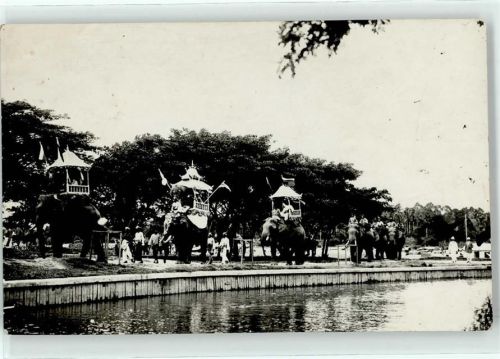 Neu Delhi 1930 Elefanten