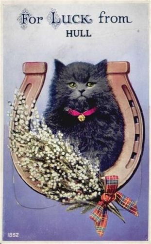 Hull Hull (Großbritannien) Leporello, Katze II (fleckig VS/RS, Ecken abgestossen, Stauchung)