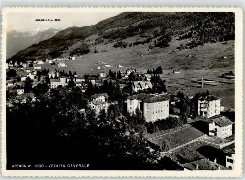 Aprica 1956