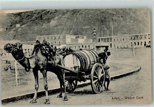 Aden Lastenkamel mit Wasswerfass